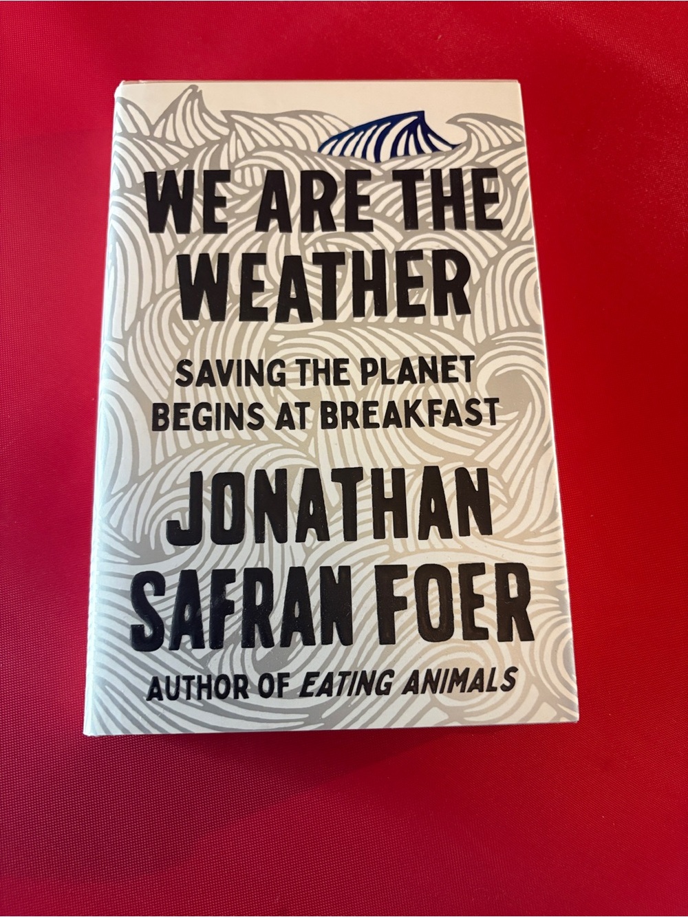 We Are The Weather- Jonathan Safran Foer Hardcover